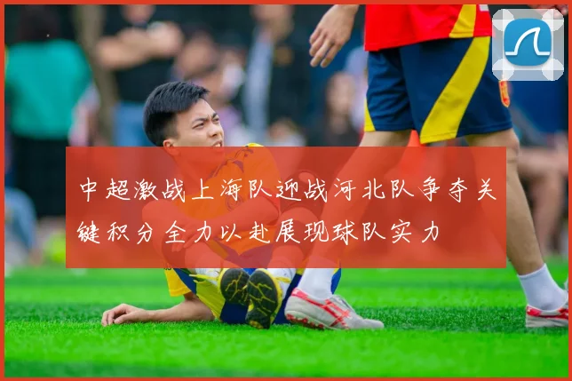 中超激战上海队迎战河北队争夺关键积分全力以赴展现球队实力
