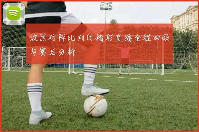 波黑对阵比利时精彩直播全程回顾与赛后分析
