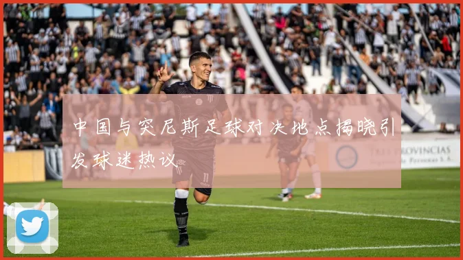 中国与突尼斯足球对决地点揭晓引发球迷热议
