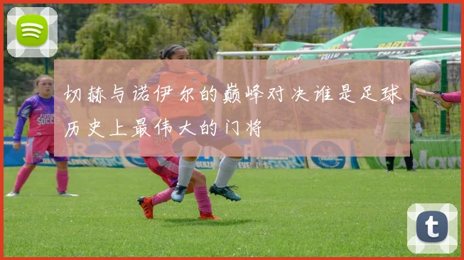 切赫与诺伊尔的巅峰对决谁是足球历史上最伟大的门将