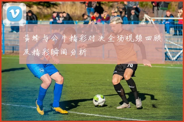 黄蜂与公牛精彩对决全场视频回顾及精彩瞬间分析