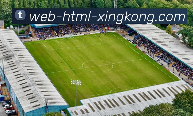 星空体育服务体系